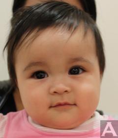 Tokyo Model Model Agency Acqua Models White Half Japanese Baby Maya
