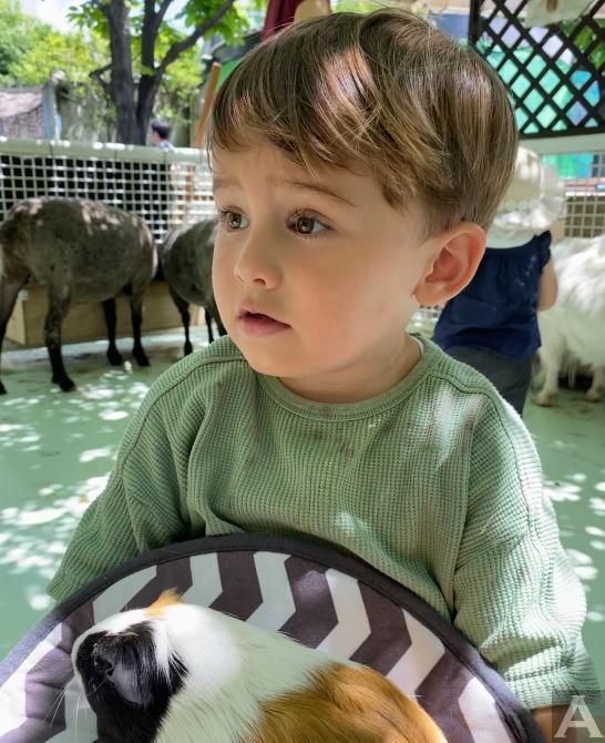 東京外国人モデル事務所アクアモデル所属のキッズモデルのアッシュ