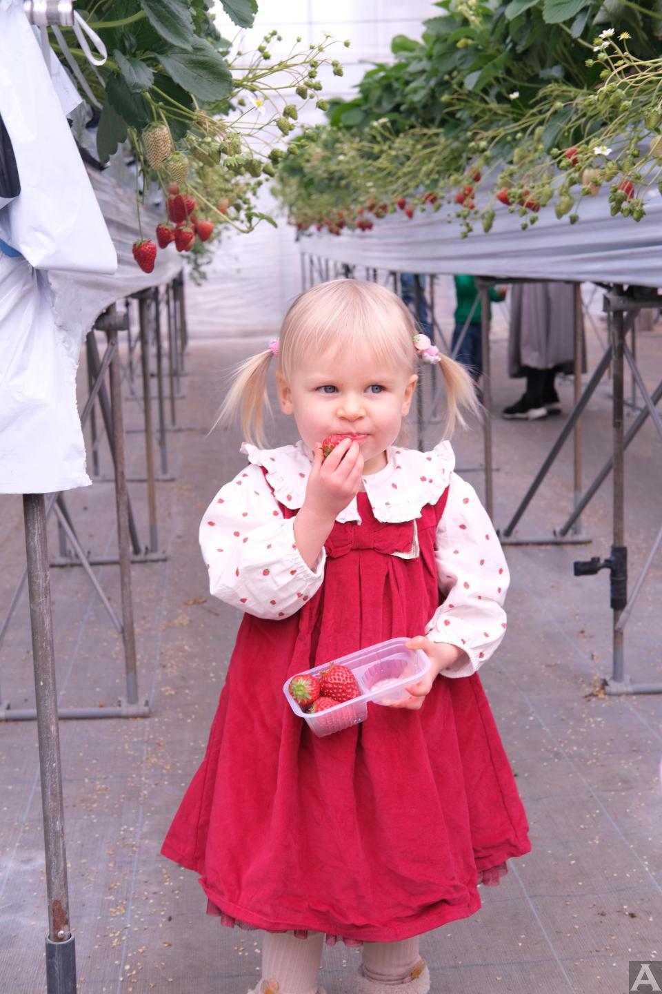 東京外国人モデル事務所アクアモデルのキッズモデルアンナ