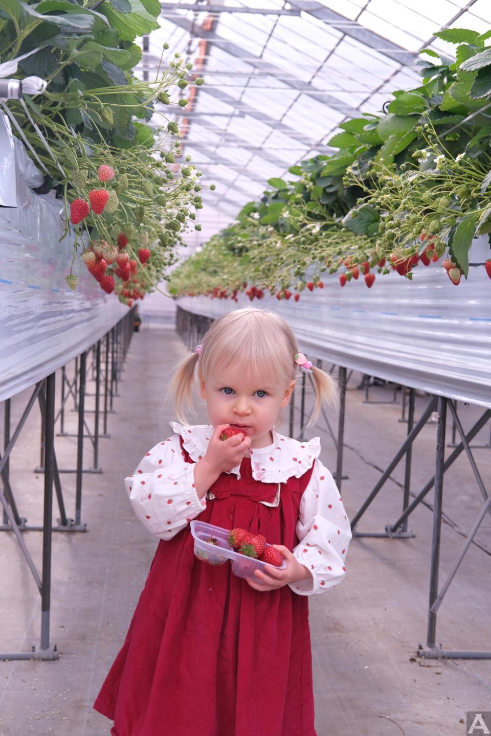 東京外国人モデル事務所アクアモデルのキッズモデルアンナ